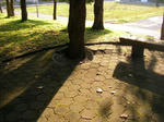 4ne_kouen071021e_u1.jpg