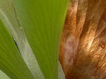 4naga080915SANY0118u2.jpg