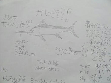 SANY0203.JPG