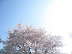 IMG_2139.JPG
