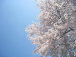 IMG_2146.JPG