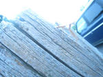 IMG_2581.JPG