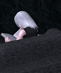 139568a1.png