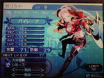 20100405233437.jpg
