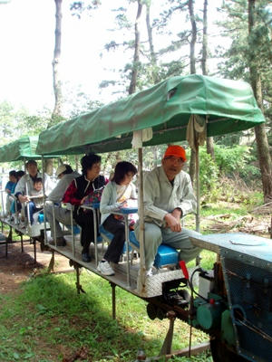 黄金崎桜祭りモノレール
