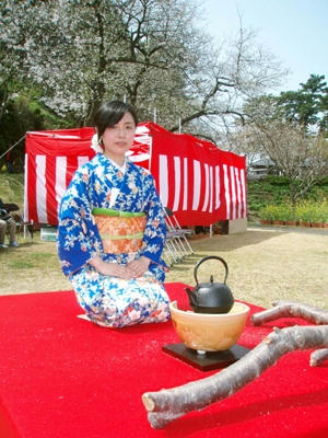 黄金崎桜祭り２