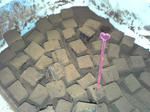 SBSH0387.JPG