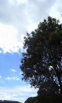 P1000362.JPG