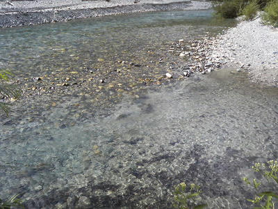P1000576.JPG