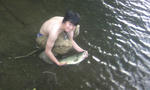 image7409760.jpg