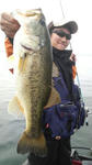 image2246272.jpg