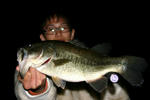 image3898463.jpg