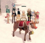 mabinogi_2009_09_04_019.jpg