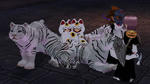 mabinogi_2010_03_27_037.jpg