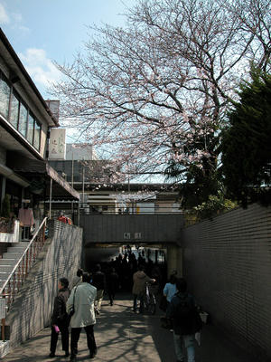 鎌倉