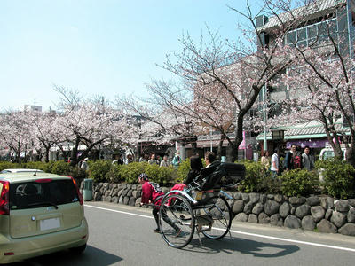 鎌倉