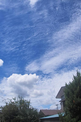 秋の雲