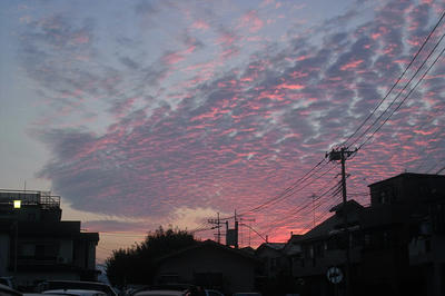 夕焼け