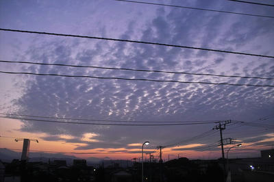 夕焼け