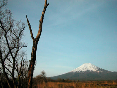 北富士演習場からの富士山