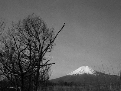 北富士演習場からの富士山