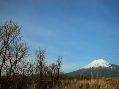 北富士演習場からの富士山