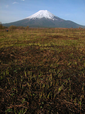 北富士演習場からの富士山