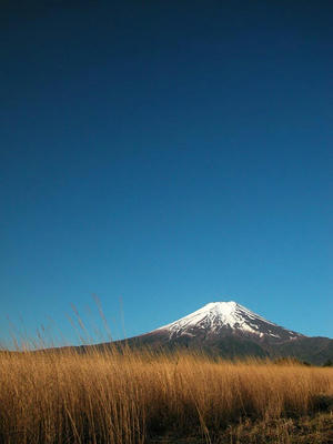 富士山＠北富士演習場