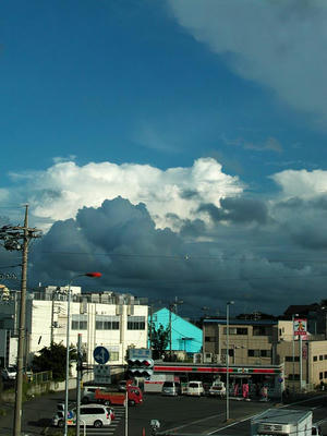 驟雨を期待する