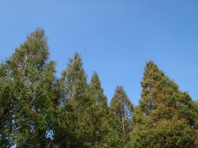 青空＠相模原北公園