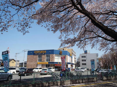 相模原の桜：2012/4/12