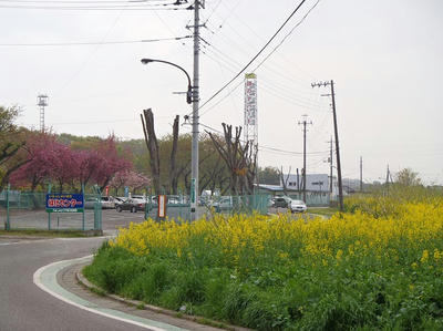 相模原緑化センター