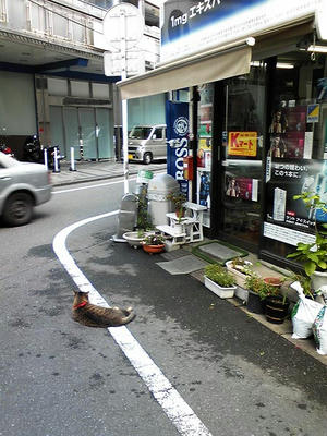 タバコ屋の猫