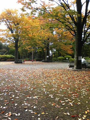 相模原北公園の秋