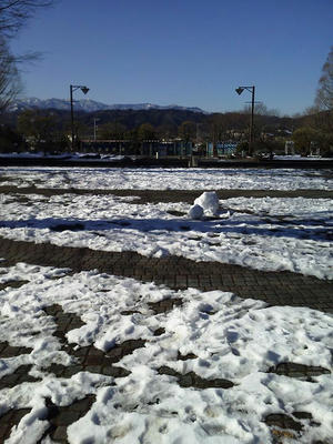 相模原北公園の雪景色