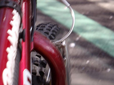 相模原の桜を自転車で散策