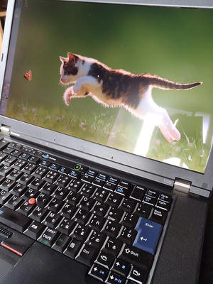 ThinkPad T520＋エレコム液晶保護フィルムEF-FL156WHGに光を当てて撮影