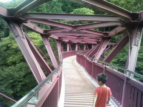 200808161045000.jpg