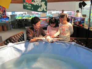 IMG_3438-600.JPG