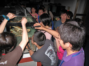 IMG_3999-600.JPG