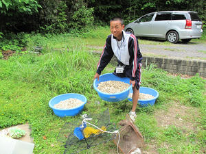 IMG_4854-600.JPG