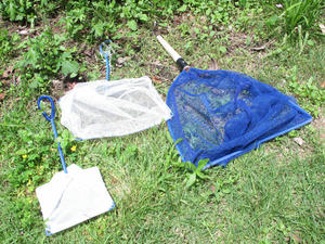 IMG_5465-600.JPG