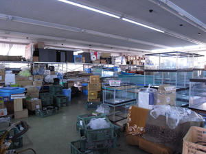 R0012071-600.JPG