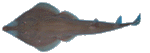 8b9bc113.gif