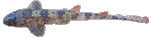 5b368a2a.gif