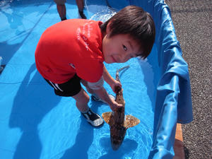 R1051837.JPG
