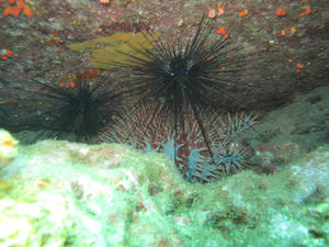 IMG_0301-600.JPG