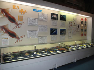 IMG_1800-600.JPG