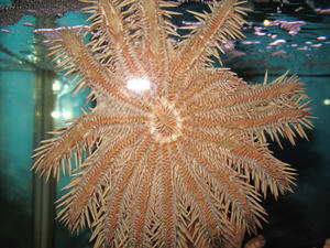 IMG_0637-600.JPG