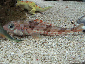 IMG_3989-600.JPG